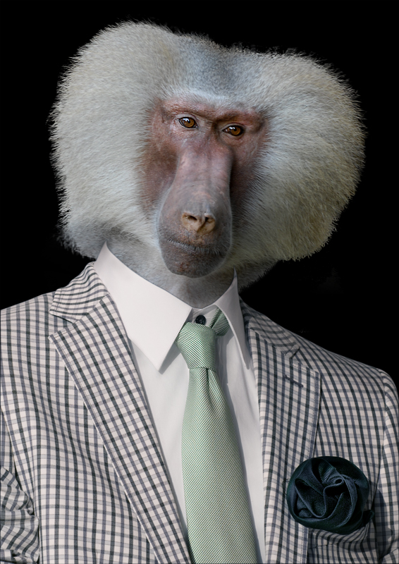 09.03.2011 montage-Puppe-eule.jpg